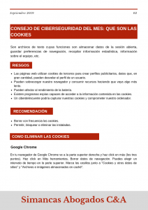 Abogado de empresa